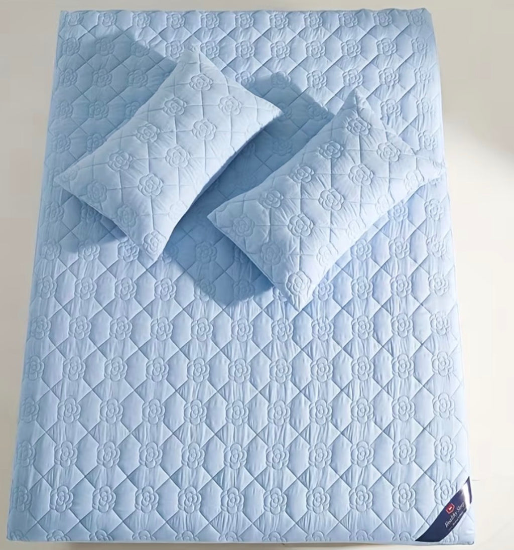 Protège-matelas imperméable bleu ciel, dimensions